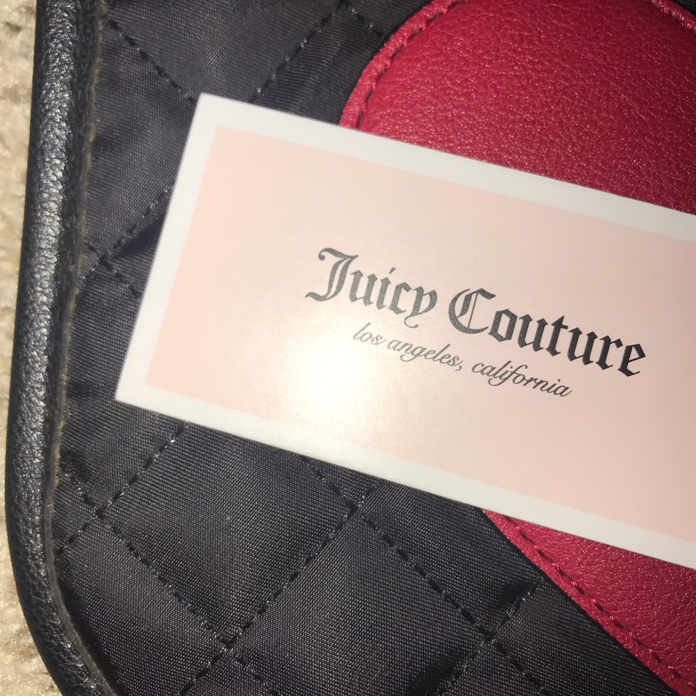 juicy backpack! - Picture 5 of 6